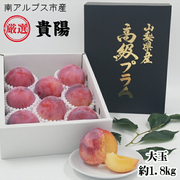 【ふるさと納税】 【25年発送先行予約】 南アルプス市産　『貴陽』　特選大玉約1.8kg（7～10玉） ふるさと納税 おすすめ 山梨県 南アルプス市 送料無料 ALPDD014