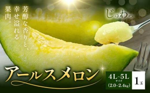 アールスメロン 1玉 4L～5L メロン《4月上旬～11月中旬に順次発送予定》熊本県 菊池市 果物 フルーツ 青果物 菊池市産 熊本県産 九州産 国産 送料無料
