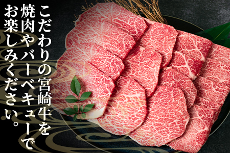 ＜宮崎牛肩焼肉 400g＞焼肉やバーベキューでお楽しみください！【MI229-nh】【日本ハムマーケティング株式会社】