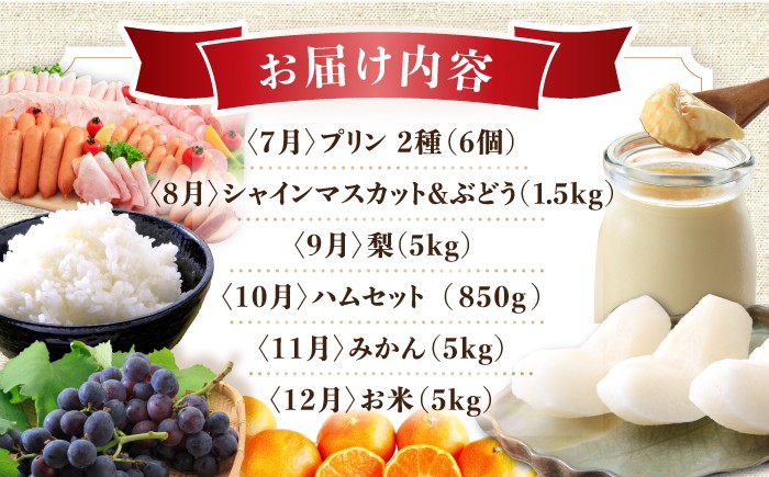 野菜 スイーツ  長崎和牛 イチゴ 梨 米 ミカン  毎月 お届け 定期便