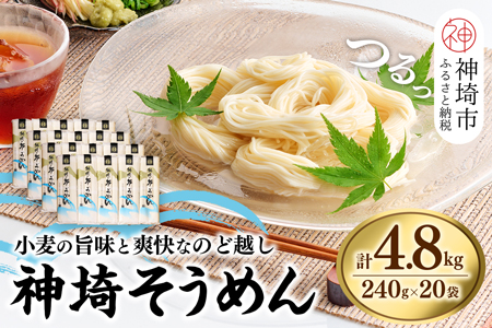 神埼そうめん(240g×20袋) 【そうめん 麺 神埼 めん 素麺 佐賀特産品 かんざき 九州 佐賀 ギフト 贈答用 名産品】(H020101)