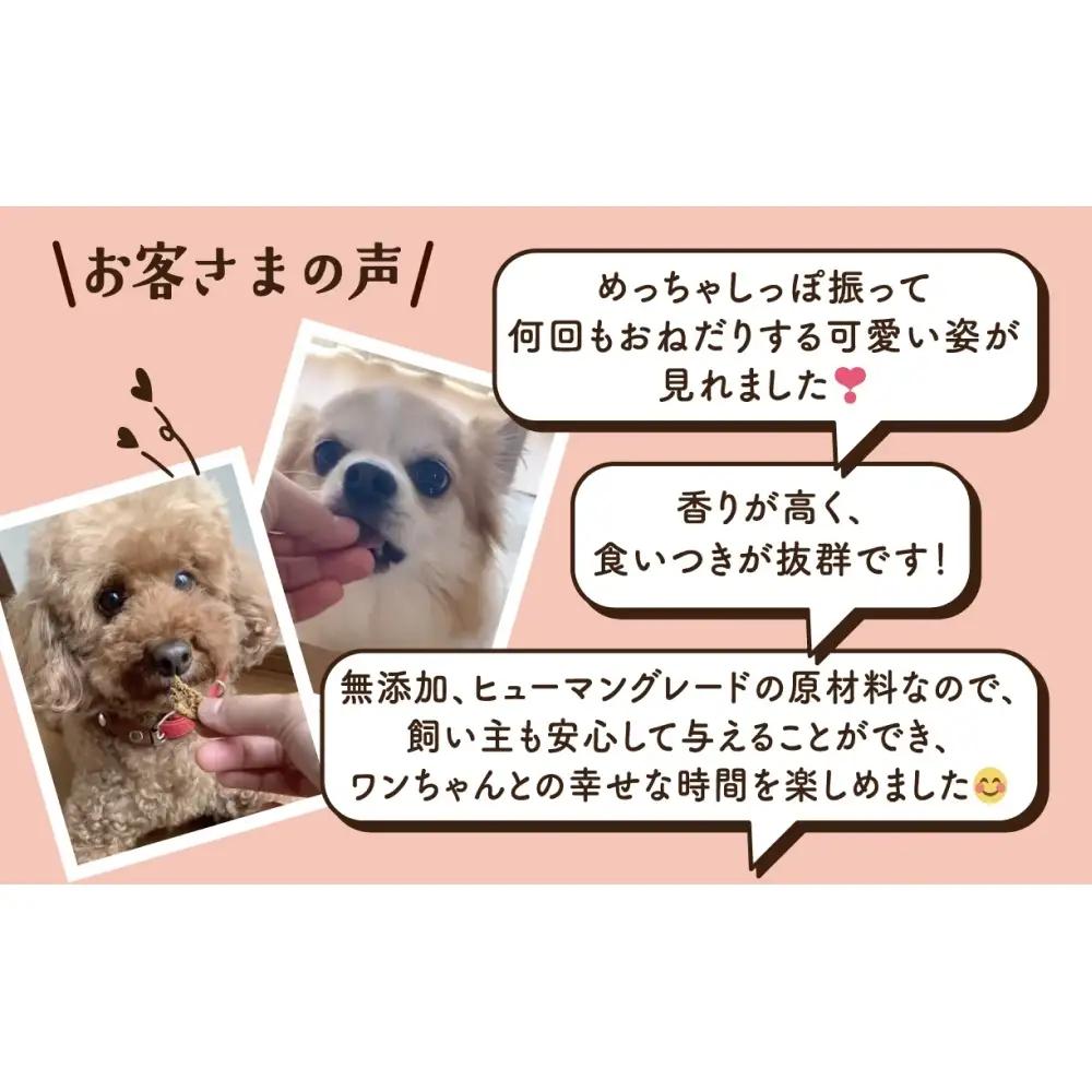 ワンちゃんのおやつ 鶏 豚 鰹 MIX ８袋 ドッグフード 犬 おやつ 無添加 グルテンフリー 国産