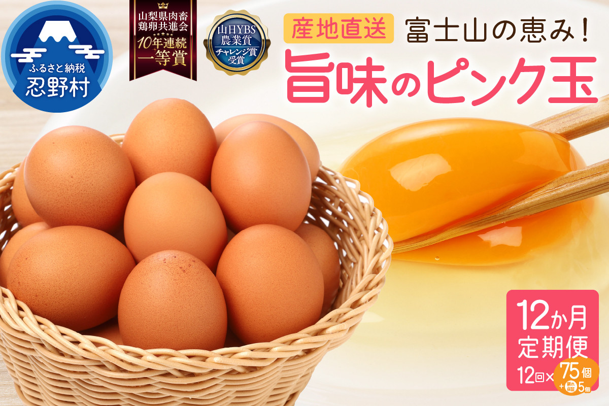 
                  【12ヶ月定期便】”忍野の卵”旨味のピンク玉 （毎月80個×12回）　※割れ保証含む　[卵 定期便 定期 国産 産地直送 毎月 生卵 玉子 たまご 卵かけご飯 卵焼き 親子丼 目玉焼き すき焼き オムライス オムレツ スイーツ作り 料理 調理 人気 鶏卵 鶏 新鮮 12ヵ月 12か月 山梨県 忍野村]
                