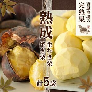 【 吉原農場 の 完熟栗 】 熟成 生むき栗 3袋 ・ 焼き栗 2袋 セット