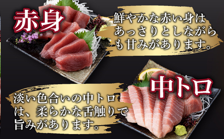 天然 マグロ 中トロ・赤身　柵 ６００ｇセット(１００ｇ×６pc)　サク さく メバチ 天然まぐろ マグロ 鮪 まぐろ 100% 冷凍 刺身 海鮮 丼 刺し身 小分け 高知 室戸 12000円