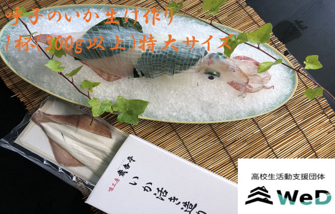 
呼子のいか活造り1杯　(300g以上) 特大サイズ
