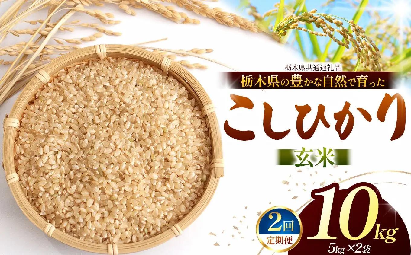 【栃木県共通返礼品】【定期2回】【令和８年度産】コシヒカリ 10kg お米 米 | 栃木県 那珂川町 送料無料