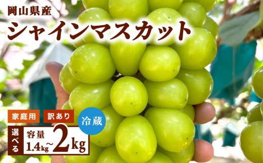 
                  【訳あり・家庭用】2026年9月発送 岡山県産 シャインマスカット
                