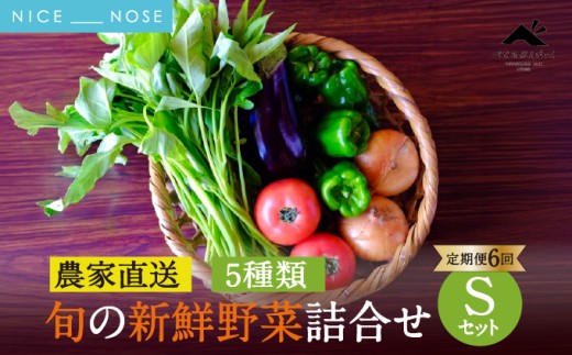[定期便 6回] 【大阪能勢産】 《農家直送》 べじたぶるぱーくの旬の新鮮野菜詰合せ Sセット (5種類) | 6回(隔月) 定期便 6ヶ月 定期 野菜詰め合わせ 野菜 農薬 化学肥料不使用 新鮮 産地直送 季節 旬 | 大阪府 能勢町 送料無料