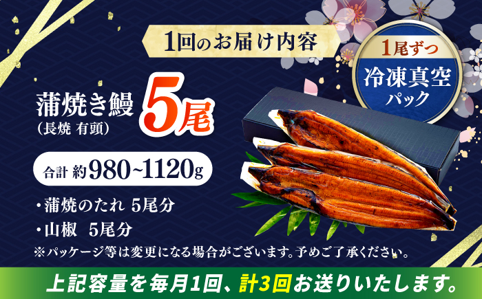 【3回定期便】極上国産うなぎ四万十桜 蒲焼き5尾 たっぷり大サイズ / 国産 高知 四万十 うなぎ ウナギ 鰻 蒲焼き うな重 惣菜 贅沢 【有限会社もりた】 [ATHE009]