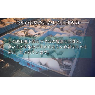 ふるさと納税 下関市 とらふぐ料理フルコース鶴盛・菊盛 約10人前 AQ201_1 |  | 03