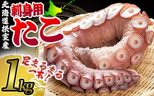 A-80003【12/21まで年内配送】 【北海道根室産】たこ足刺身用1本(1kg以上)
