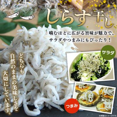 ふるさと納税 西予市 【定期便2ヶ月】<ちりめん&しらす干し お試し食べ比べセット 合計410g >濱田水産 愛媛 魚 |  | 02