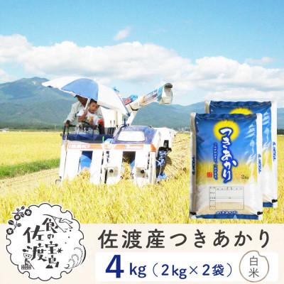 ふるさと納税 佐渡市 【新米予約】佐渡島産つきあかり 白米4Kg(2Kg×2袋) 令和7年 〜栽培期間中農薬5割減〜