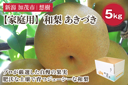 【家庭用】新潟県産和梨 あきづき 約5㎏（7〜14玉） 《9月中旬から順次発送》梨 なし ナシ あきづき 果物 果樹 フルーツ 樹上完熟 加茂果樹専門家集団 加茂市 想樹
