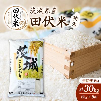 ふるさと納税 かすみがうら市 【毎月定期便】新米 田伏米のコシヒカリ 5kg全6回 | お米 こしひかり 茨城県かすみがうら市産