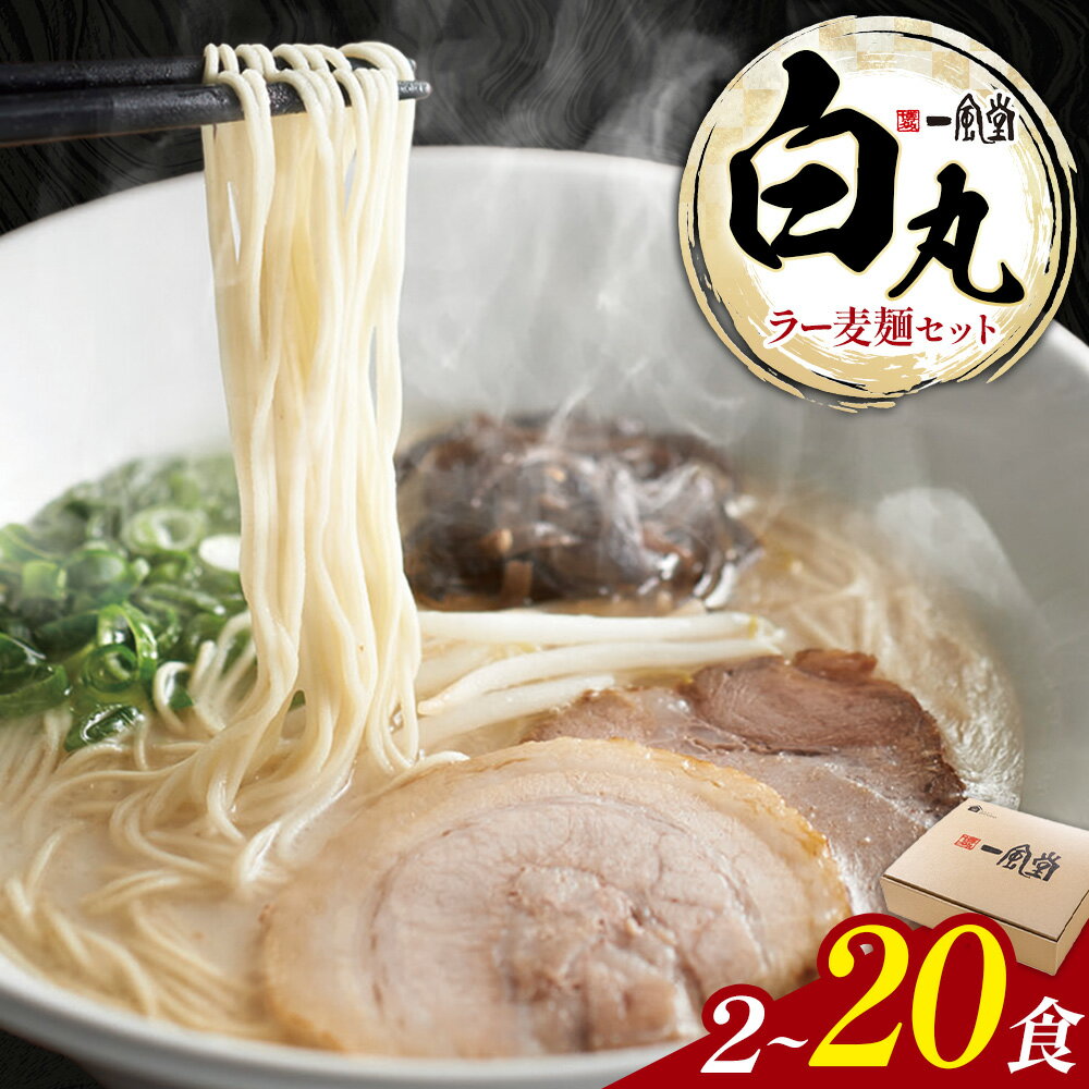 【ふるさと納税】ラーメン 一風堂 白丸 ラー麦麺 セット 選べる 2食 6食 12食 20食 地域商社ふるさぽ《90日以内に出荷予定(土日祝除く)》福岡県 鞍手郡 小竹町 ラーメン とんこつ 豚骨スープ 豚骨ラーメン ラー麦 麺