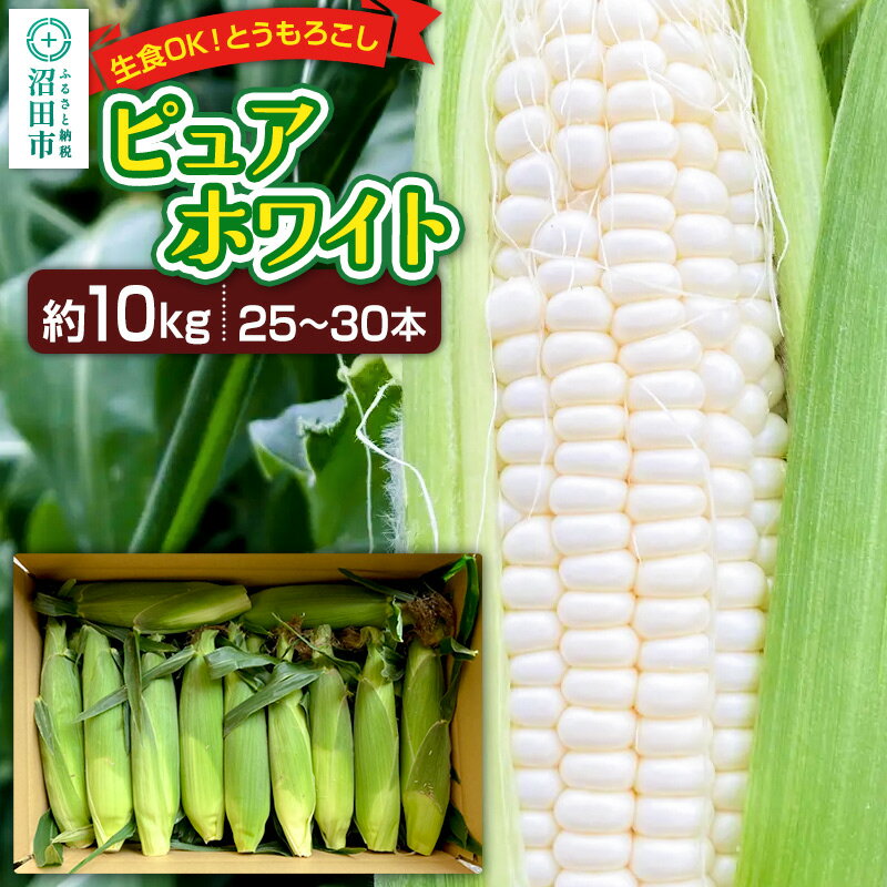 【ふるさと納税】《7月下旬〜9月中旬発送》とうもろこし ピュアホワイト 約10kg（25〜30本）