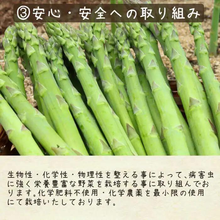 【2027年8月-発送】スイートアスパラ L-3L 約 1kg 贅沢宝庫 [SDZ015] アスパラ