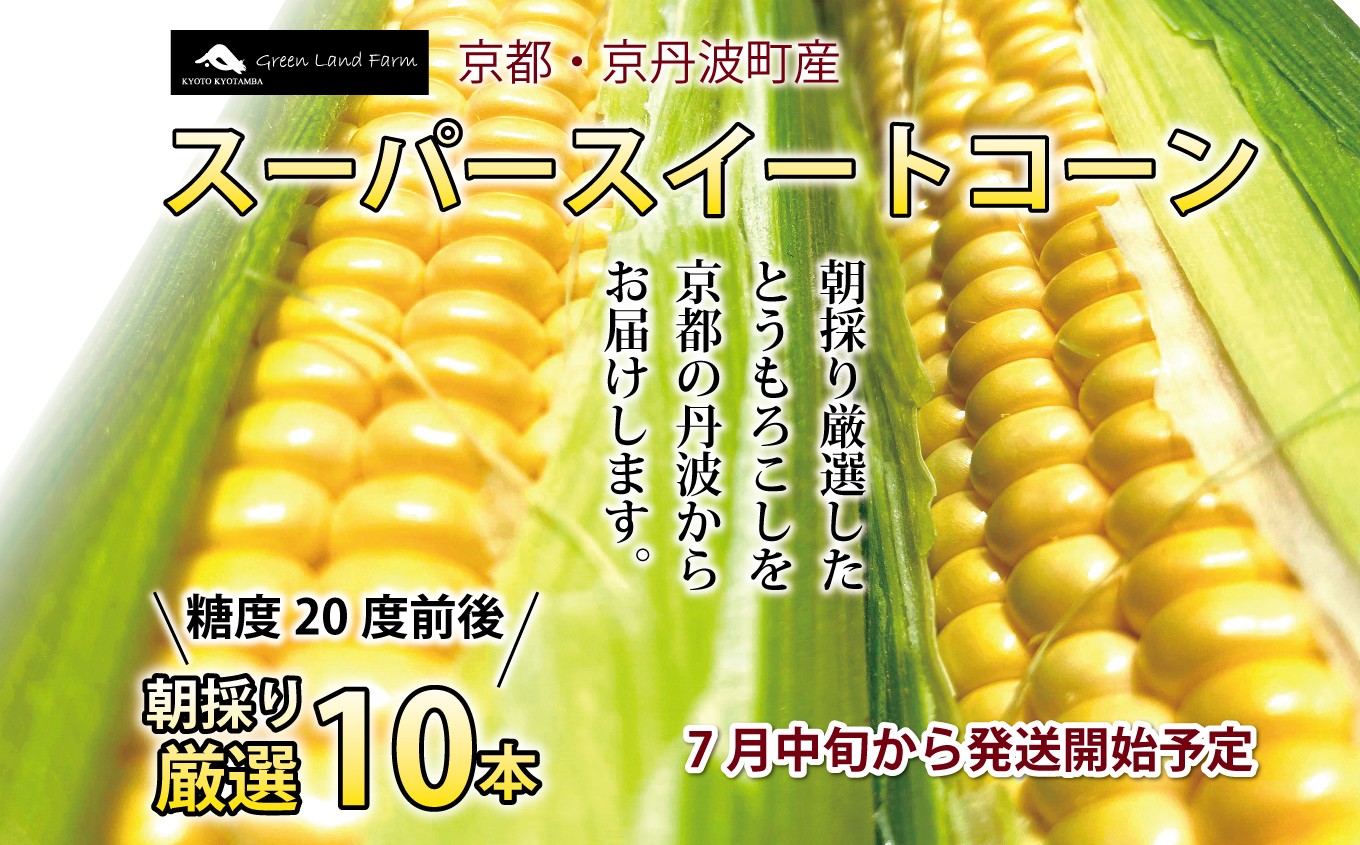 
                  スーパースイートコーン 10本 高糖度 とうもろこし 京都 京丹波町産 ※北海道・東北・沖縄は配送不可　[010SH002L]
                