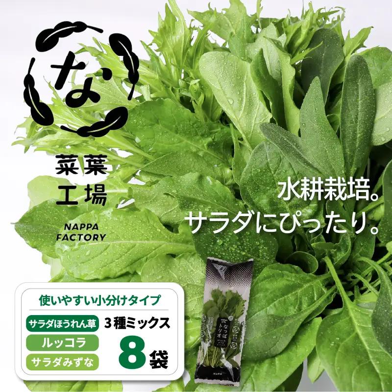 3種ミックス ルッコラ ほうれん草 みずな サラダセット | 水菜 ほうれんそう 水耕 栽培 新鮮 葉物 野菜 ドレッシング 南国市