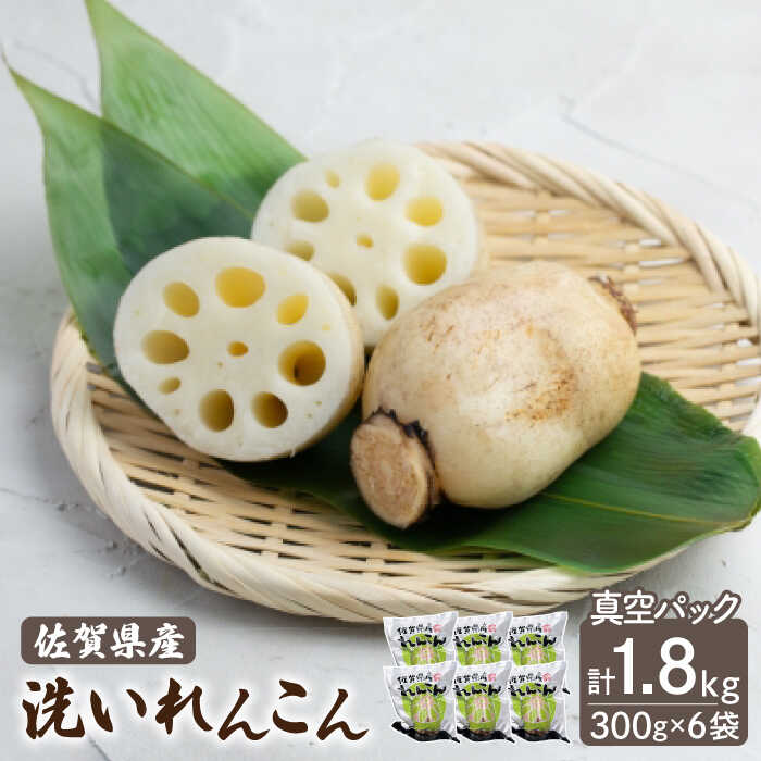 【2026年1月以降発送】洗いれんこん 真空パック入り 300g×6袋（計1.8kg）【有限会社マルハ園芸】レンコン 蓮根 野菜 根菜 [ICC003]