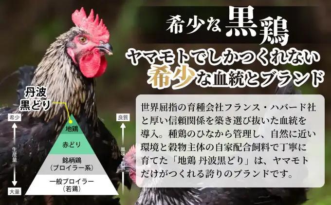 鶏肉 地鶏丹波黒どり ムネ肉 6kg（2kg×3パック）訳あり鶏肉