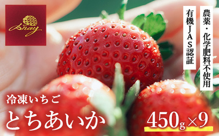 有機JAS認証いちご使用 冷凍いちご 450g×9