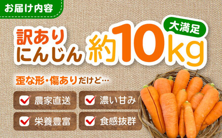 訳アリ にんじん 10kg 愛媛県大洲市/株式会社誠実村[AGER001]
