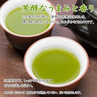 ふるさと納税 牧之原市 摘みたて!特上深蒸し茶100g×3本 包装袋セット 静岡県 牧之原産 新茶 深蒸し緑茶 |  | 02