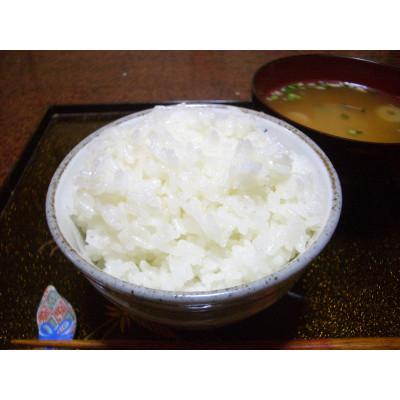 ふるさと納税 館山市 令和7年産千葉県産長狭米コシヒカリ精米10kg |  | 03