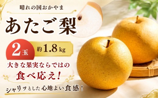梨 岡山県産 あたご梨 2玉 約1.8kg | 愛宕梨 梨 贈り物 御歳暮 果物 くだもの フルーツ 和梨 マルトウ促成青果【mrts003-01】