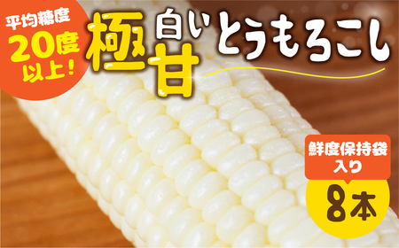 《先行予約》高評価 平均糖度20以上 白い極甘とうもろこし 8本 朝採り 人気 甘い 簡単調理 まるで フルーツ 送料無料 高レビュー 数量限定 2025年 先行予約
