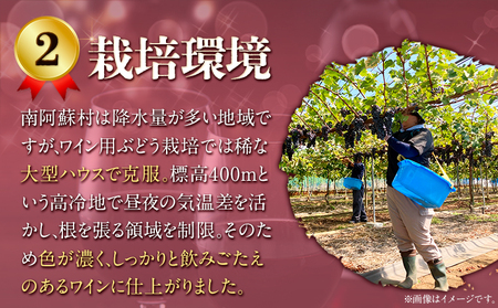 【3ヶ月定期便】南阿蘇村産ぶどう100%使用 赤ワイン RED cow 1本 750ml《お申込み月の翌月から出荷開始》熊本県 南阿蘇村 カベルネ・ソーヴィニヨン ヤマ・ソーヴィニヨン ワイン 酒 お