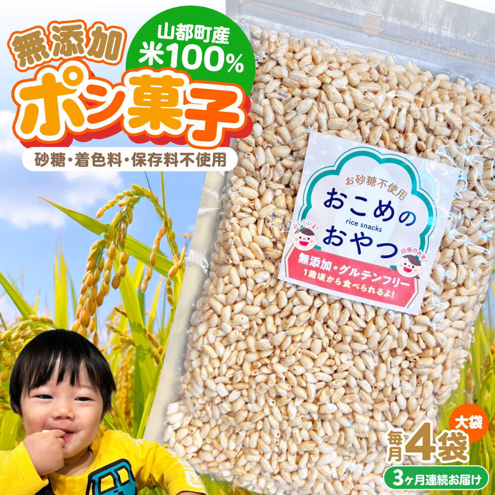 【ふるさと納税】【全3回定期便】おこめのおやつ大袋 4袋セット【株式会社キゴコロ】[YDZ011]