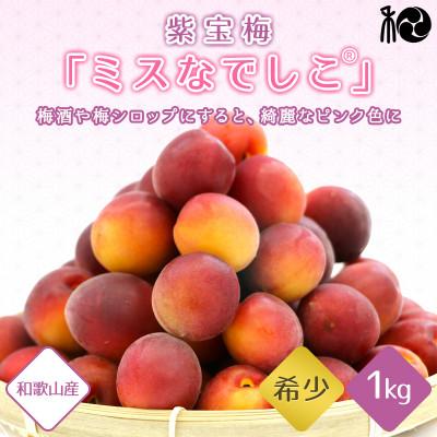 ふるさと納税 田辺市 【2025年分先行予約】紫宝梅『ミスなでしこ(R)』【青梅:1kg】【ngm009】