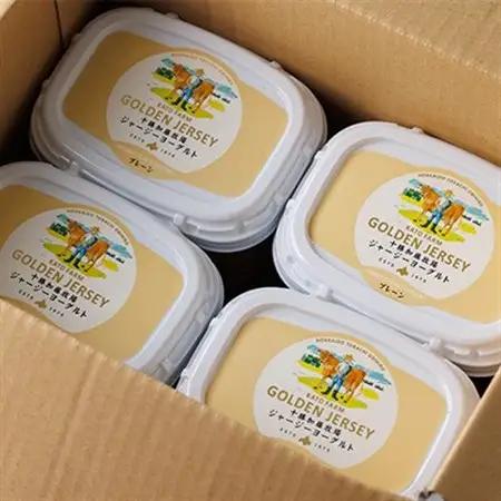 【毎月定期便】ゴールデンジャージーヨーグルト 450g×4個 北海道 十勝 加藤牧場全3回_卵・乳製品 ヨーグルト    定期便 定期便  _【配送不可地域：離島】【4013284】