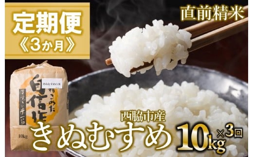【定期便 3か月 きぬむすめ】白米10kg（3か月連続お届け）新米 2025年産　米 お米 米10㎏ お米10㎏ 兵庫県産 きぬむすめ キヌムスメ 西脇市産 定期 連続 3回 3か月 2025年産 精米 便利 らくちん ラク