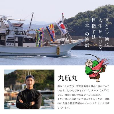 ふるさと納税 南さつま市 【数量限定】鹿児島県産 天然たかえび(生食用) 約1kg [Mサイズ] |  | 03