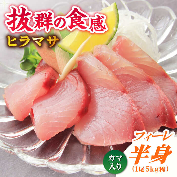 【ふるさと納税】【コリコリ食感がたまらない！】新上五島町産 養殖 ヒラマサ （ヒラス） （片身フィーレ）【カミティバリュー】 [RBP007]