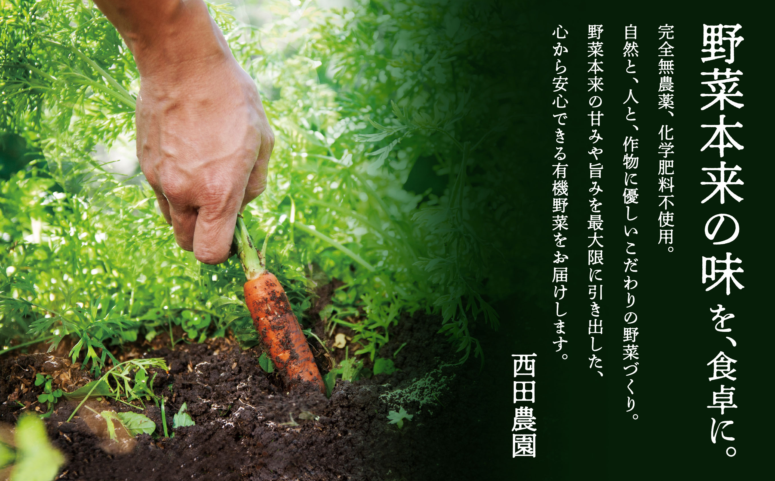西田農園　季節の有機野菜詰合せ　3ヶ月定期便