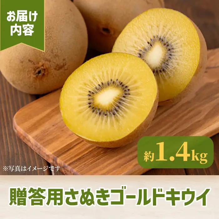 ＜先行予約！2026年10月中旬以降順次発送予定＞《贈答用・大玉厳選》 香川県産 さぬきゴールドキウイ(約1.4kg・化粧箱) 国産 果物 フルーツ キウイフルーツ 【man064】【Aglio ne