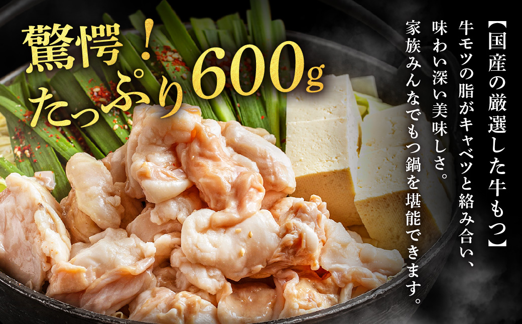 AE294.魚住商店【国産牛もつ使用】あごだし醤油もつ鍋セット4～6人前【もつ鍋・醤油味】