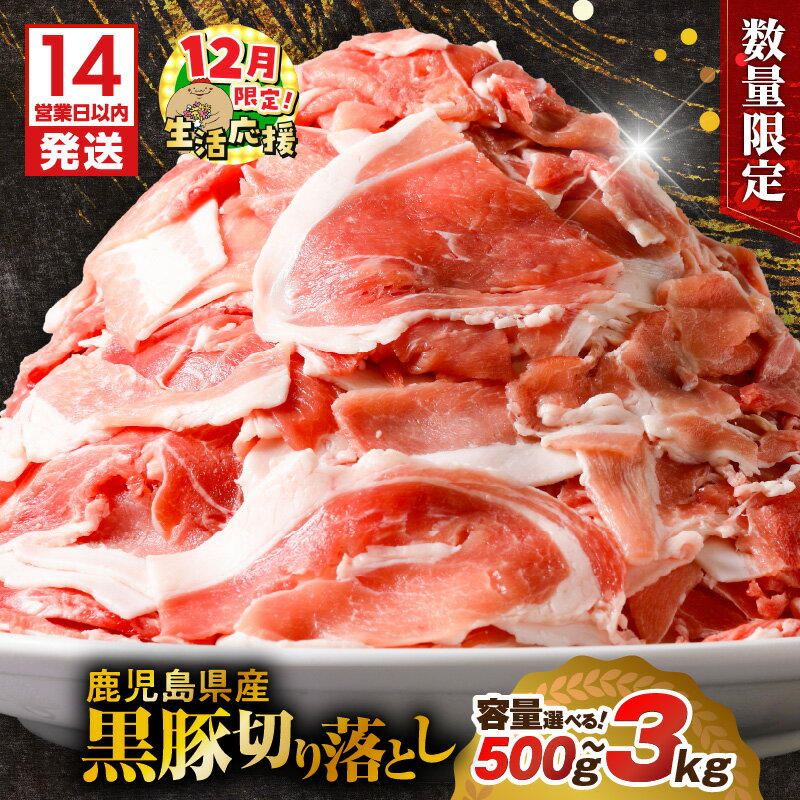 【ふるさと納税】【12/21入金まで年内発送】【期間限定 生活応援】【14営業日以内に発送】＜容量選べる＞ 鹿児島県産 黒豚 切り落とし 500g 〜 3kg 数量 限定 肉 豚肉 切落し スライス 小分け 大容量 ボリューム パック 袋 冷凍 ミヤタ 鹿児島 おすすめ ランキング