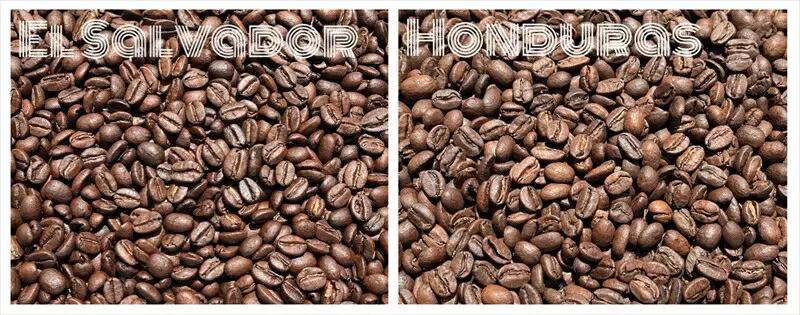 スペシャルティコーヒー 飲み比べセット【粉】 （５０g×６個）【 コーヒー 神奈川県 小田原市 コーヒー】