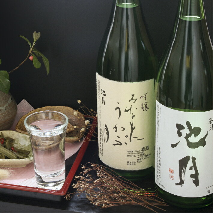 【ふるさと納税】 酒 地酒 飲み比べ セットA [道の駅織姫の里なかのと 石川県 中能登町 nk17amw270056] お酒 日本酒 吟醸 純米酒 晩酌 手土産 常温