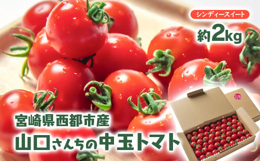 山口さんちの中玉トマト 約2kg シンディースイート 宮崎県西都市産とまと【先行予約】＜2-8a＞★