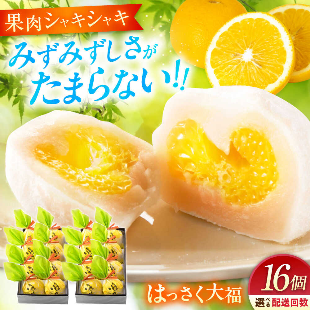 【ふるさと納税】【選べるお届け回数】お菓子 はっさく大福 8個入×2　 お菓子 大福 八朔 柑橘 みかん オレンジ はっさく 餅 ギフト お取り寄せ スイーツ フルーツ大福 ご当地 菓子 おかし デザート 食品 福山市/株式会社虎屋本舗[BADH025]