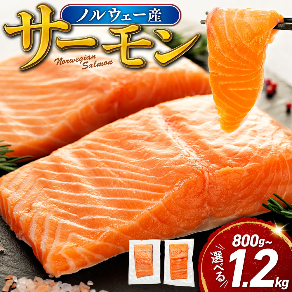 【ふるさと納税】 サーモン ノルウェー産 容量 が 選べる 800g 1.2kg 刺身 まるが水産 父の日 指定日可 冷凍 鮭 さけ 海鮮 ふるさと納税 サーモン 訳あり ふるさと納税 訳あり ふるさと サーモン ふるさと納税 人気 ふるさと納税 ランキング