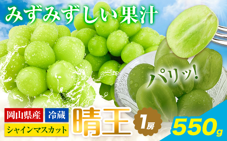 ぶどう [2026年先行予約] シャインマスカット 晴王 1房 550g 岡山県産《2026年9月上旬-10月末頃出荷(土日祝除く)》 ハレノフルーツ マスカット 送料無料 岡山県 浅口市 フルーツ 果物 贈り物 ギフト 国産 岡山県産 くだもの 青果物 【配送不可地域あり】（北海道・沖縄・離島）a-1